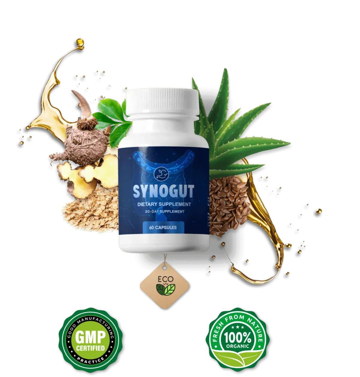 Synogut natural ingredients, GMP certified and 100 percent organic badges with hero bottle